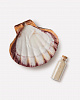 Ashtray Sea Shell LION'S PAW With Sand, Spirit Rituals (Раковина под благовония ЛЬВИНАЯ ЛАПА с песком), 1 шт.