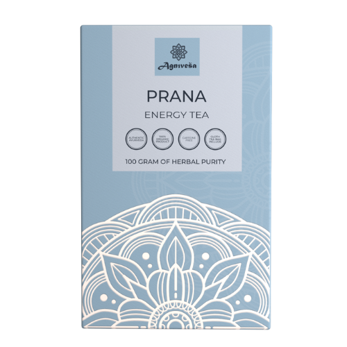 PRANA Energy Tea, Agnivesa (ПРАНА аюрведический энергетический чай, Агнивеша), 100 г.