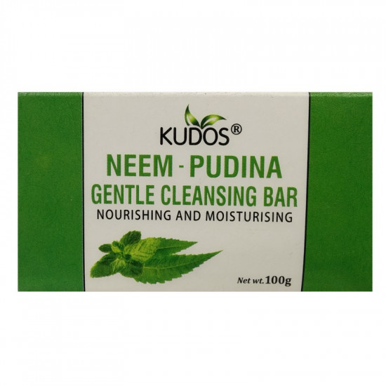 NEEM-PUDINA Gentle Cleansing Bar, Kudos (НИМ-МЯТА нежно очищающее мыло, питание и увлажнение, Кудос), 100 г.