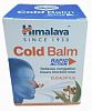 COLD BALM Rapid action Himalaya (Бальзам от простуды быстрого действия, Хималая), 45 г.