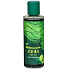 AMLA HAIR OIL Baidyanath, FOR EXPORT (Масло для волос АМЛА, Бадьянатх), 100 мл.