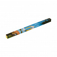 CLEAN HOME &amp; PROTECTION Premium Incense Sticks, Zed Black (ОЧИЩЕНИЕ И ЗАЩИТА ДОМА премиум благовония палочки, Зед Блэк), уп. 8 палочек.